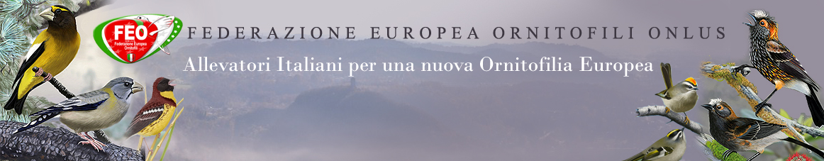 banner pubblicità 3